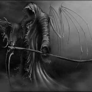 Meet your Posher, Carl